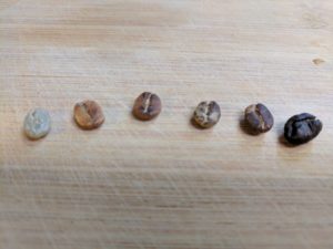 Unroasted to Roasted coffee beans