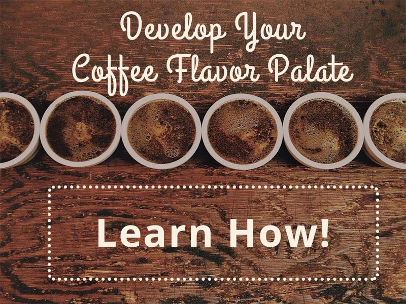Coffee-Flavor-Palate