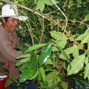 happy-coffee-farmer